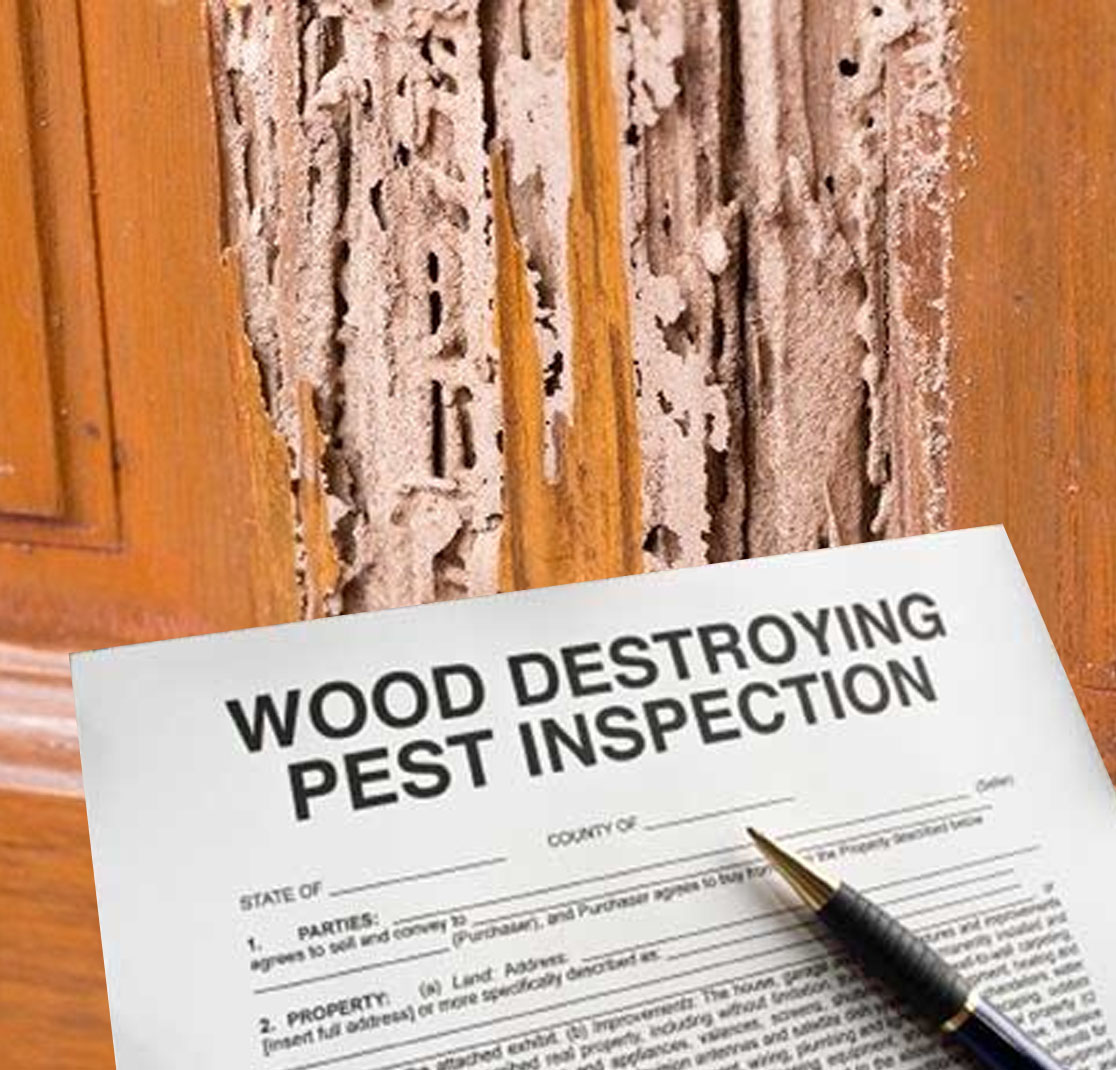 Prime Point Property Inspections - Termite/WDO Inspection